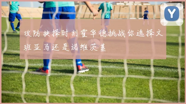 攻防抉择时刻霍华德挑战你选择文班亚马还是诺维茨基